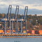 Fraser Surrey Docks 2