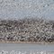 Vol  d"oiseaux migrateur