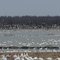 Baie du Febvre