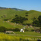Poly Canyon Design Village, 2009