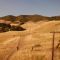 Hills Close to San Luis Obispo, CA