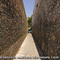 The Famous Bubble Gum Alley