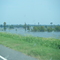 LA Hwy 1 Morganza, La