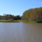 Ruisseau de la sauvagesse