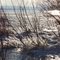 Icicles And Natural Ice Sculptures Forming In Late Autumn Freeze Up In Lesser Slave Lake Provincial Park Near Slave Lake AB Northwest of Edmonton Nov '11