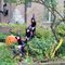 Halloween in Lincolnwood