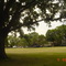 Forest Preserve near Leonard Avenue
