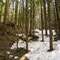 Dewdney Hike 1