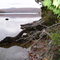 Little Averill Pond