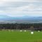 Eastern Township Field in Fall