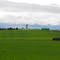 Field in Eastern Townships