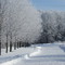 Frosty morning along the river