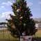 christmas tree in Central,La