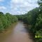 Comite River @ Comite Drive North View