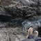 Surging water