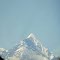 View of Mt. Fairweather from the ship