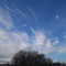 Wispy Autumn Skies Over The Peaceful Prairie West Of Edmonton Neat Stony Plain AB Nov '08