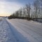 Along A Quiet Rural Road North Of Stony Plain AB West Of Edmonton Feb '09