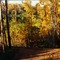 Fall over the lake in Bridgewater Properties