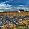 Labours d'automne / Fall furrows