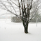 Snowfall