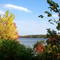 l'automne est là! 2