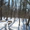 Quebec | Duchesnay