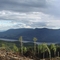 Adams Plateau