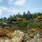 cristal mine