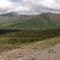 Blueberry Hill at Flattop