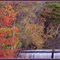 Over the Dam in Autumn