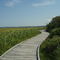 Promenade du littoral