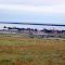 Rimouski, vue du haut de la ville.JPG