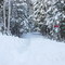 Entré Chalet