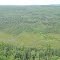 Birds eye view of a wetland