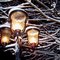"Lumières sur l'hiver"