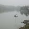 Foggy