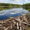 Beaver Dam