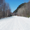 Laurentides | Parc National du Mont Tremblant