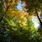 The splendor of Fall in Michigan