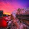 Snowbank and sunset