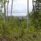 Spout Lake Area / B.C. / Kanada / Juni 2010