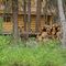 2 Deer / Spout Lake (Ten-ee-ah Lodge) / B.C. / Kanada / Juni 2007