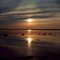 Fleuve St-Laurent