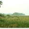 stemartheisland