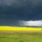 Amarillo