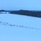 Moody, Snowy Valley And Prairie In Early Winter, Fort Saskatchewan AB Northeast of Edmonton Nov '12