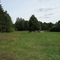 Vue sur le parc