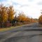 Fall in parc Mont-Saint-Bruno