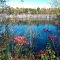 St-Bruno sur le lac